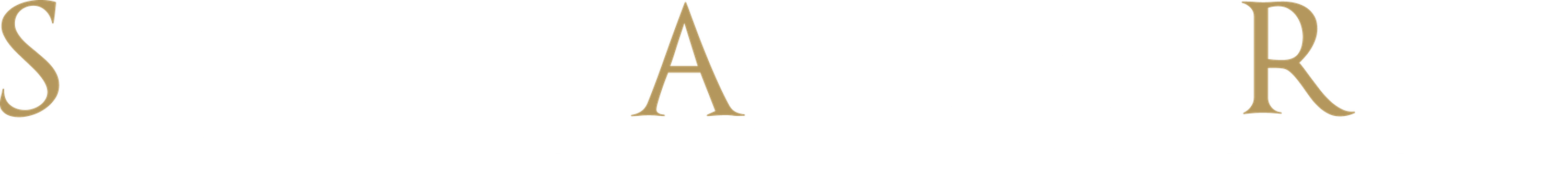 Suleiman | Amaidas | Rezai — Attorneys and Counselors at Law